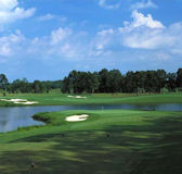 Cocopah Bend RV Resort Golf Course